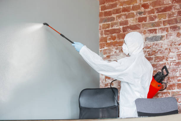 Best HVAC Mold Inspection and Cleaning  in Swartz Creek, MI