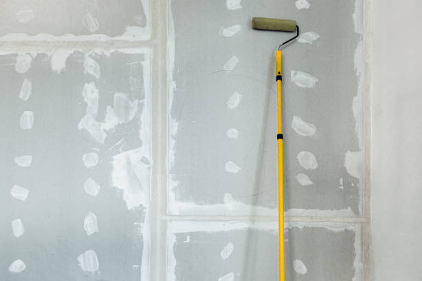 Best Post-Construction Mold Inspection  in Swartz Creek, MI
