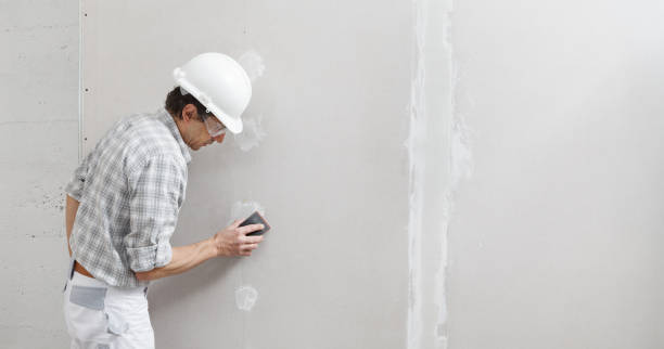 Professional Mold Removal in Swartz Creek, MI
