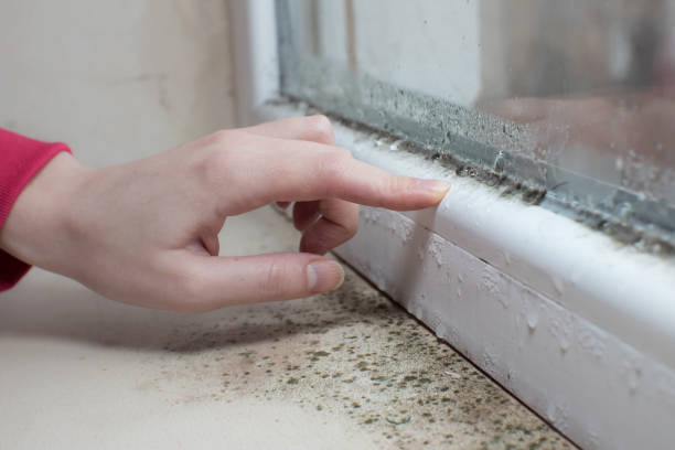 Best Asbestos and Lead Testing During Mold Inspection  in Swartz Creek, MI