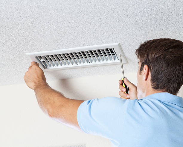 Best Comprehensive Air Testing for Mold Contaminants  in Swartz Creek, MI