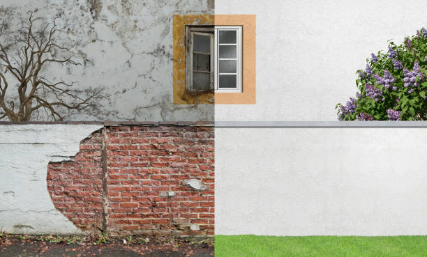Environmental Consulting for Mold Prevention in Swartz Creek, MI