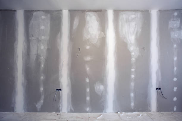 Reliable Swartz Creek, MI Mold Removal Solutions